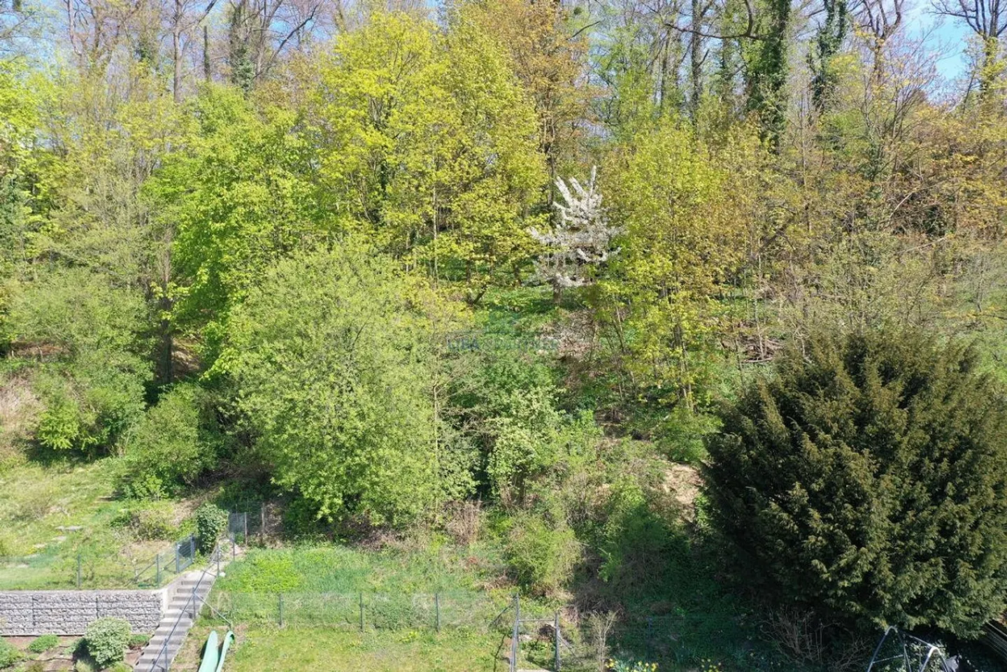 Wunderschöne Attikawohnung in der Natur - Foto 10 von 12