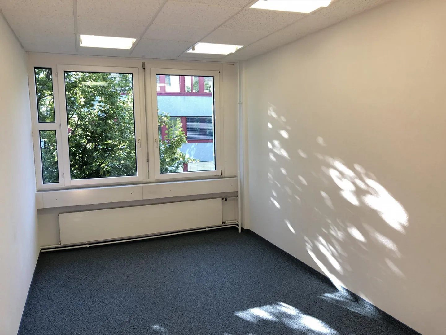 Sennweidstrasse 43/45 Steinhausen - Uffici ideali luminosi per giovani e ... - Foto 2 di 8