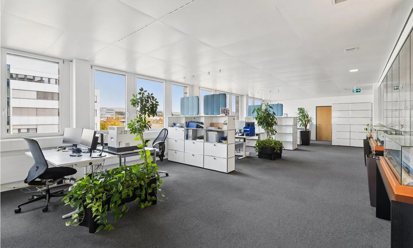 Prisma Steinhausen - Qui lavorare è un piacere - Foto 3 di 11