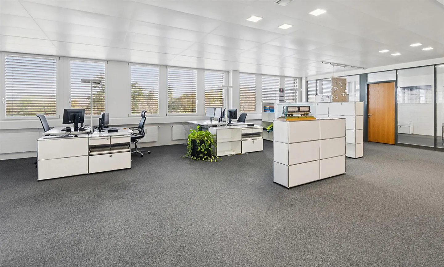 Prisma Steinhausen - Qui lavorare è un piacere - Foto 7 di 11