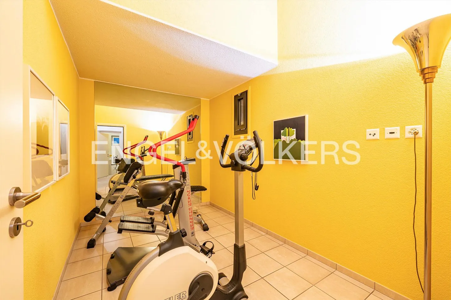 Villa avec garage double et vue sur le lac (45) - Photo 8 sur 11