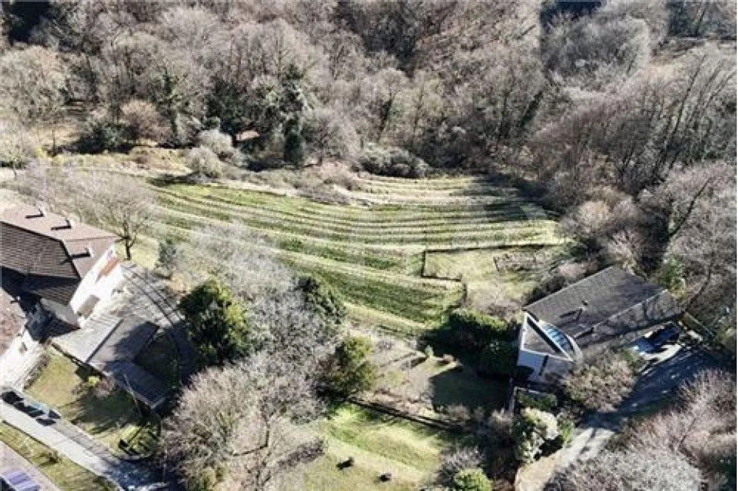 Propriété unique immergée dans la verdure à Arogno - Maison bifamiliale avec ... - Photo 4 sur 13