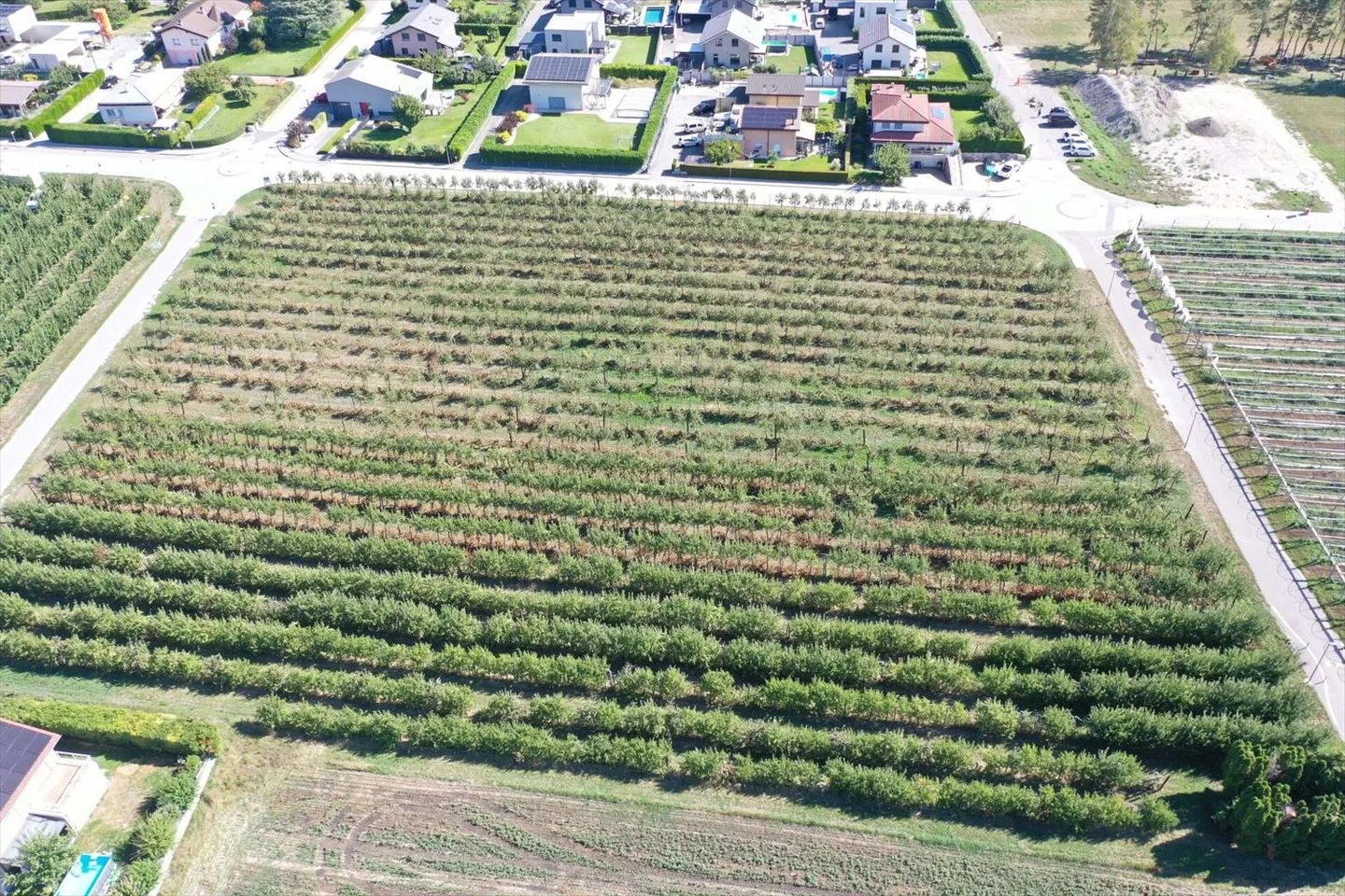 A. - Villa individuelle neuve de 5.5 pces, sur plan , Villa A - Photo 13 sur 13