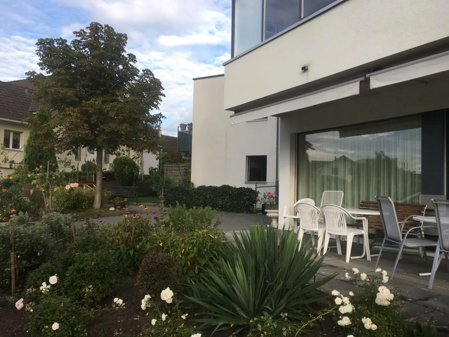 Together instead of alone - Living with heart - Photo 2 of 8