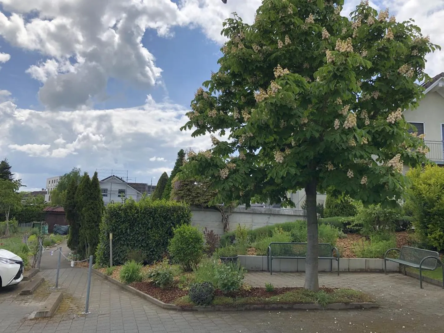 Together instead of alone - Living with heart - Photo 8 of 8