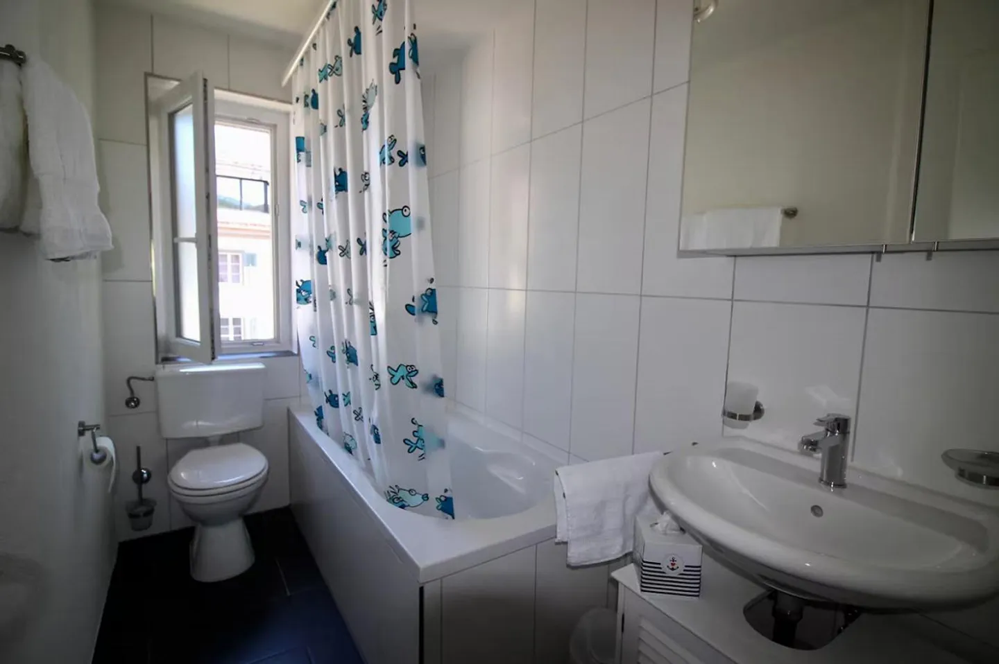 Appartamento arredato di 4,5 stanze in affitto temporaneo - Foto 11 di 11