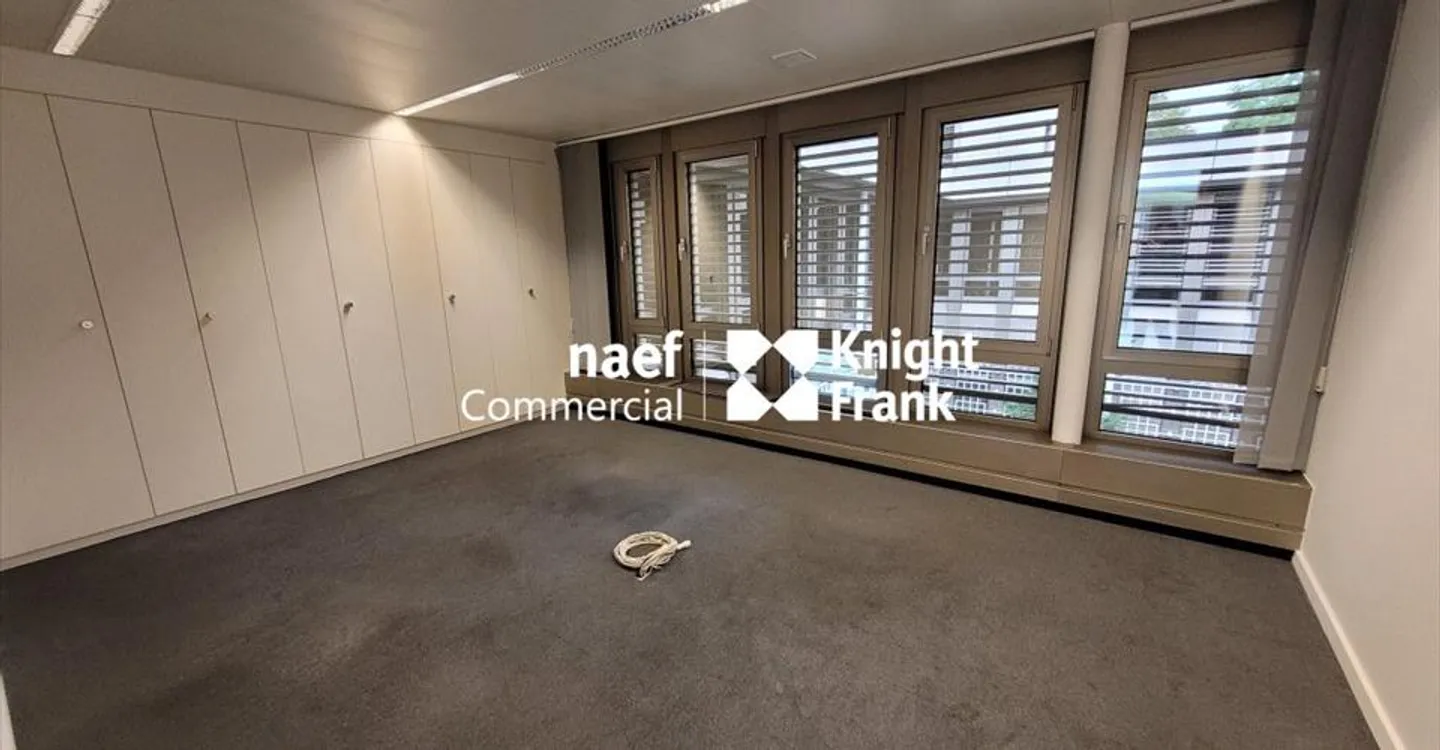 Malagnou - Büro von 485 m² im Obergeschoss - Foto 4 von 10