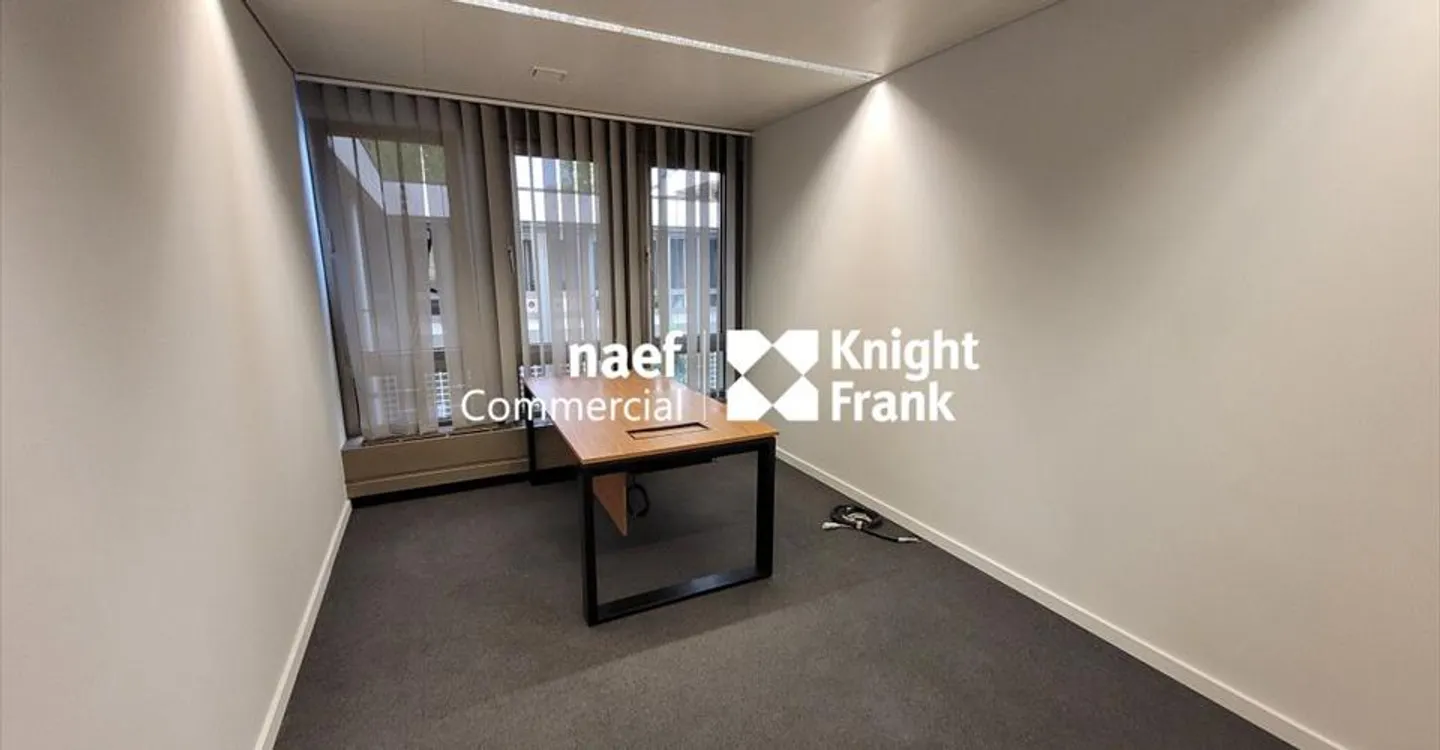 Malagnou - Büro von 485 m² im Obergeschoss - Foto 5 von 10