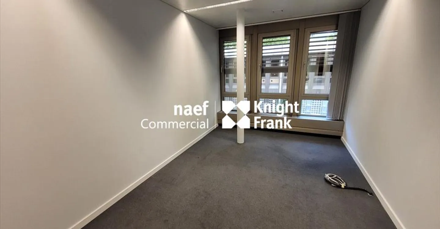 Malagnou - Büro von 485 m² im Obergeschoss - Foto 6 von 10