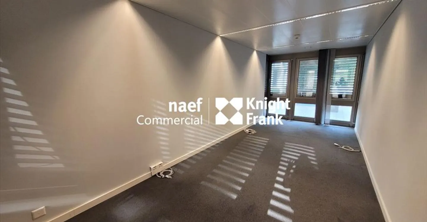 Malagnou - Büro von 485 m² im Obergeschoss - Foto 8 von 10