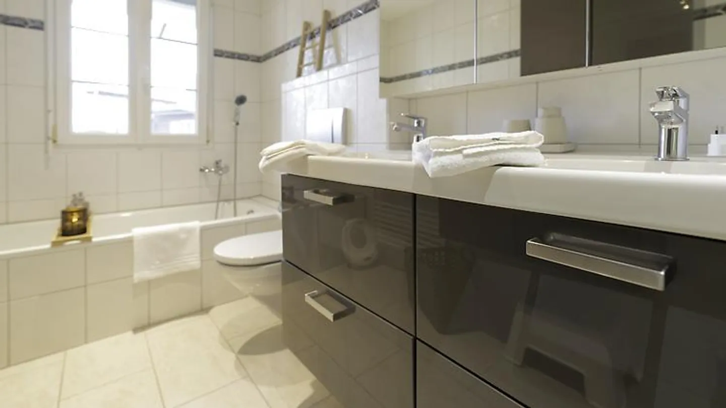 Appartement 4 pièces à Schafisheim (AG), meublé, temporaire - Photo 4 sur 5