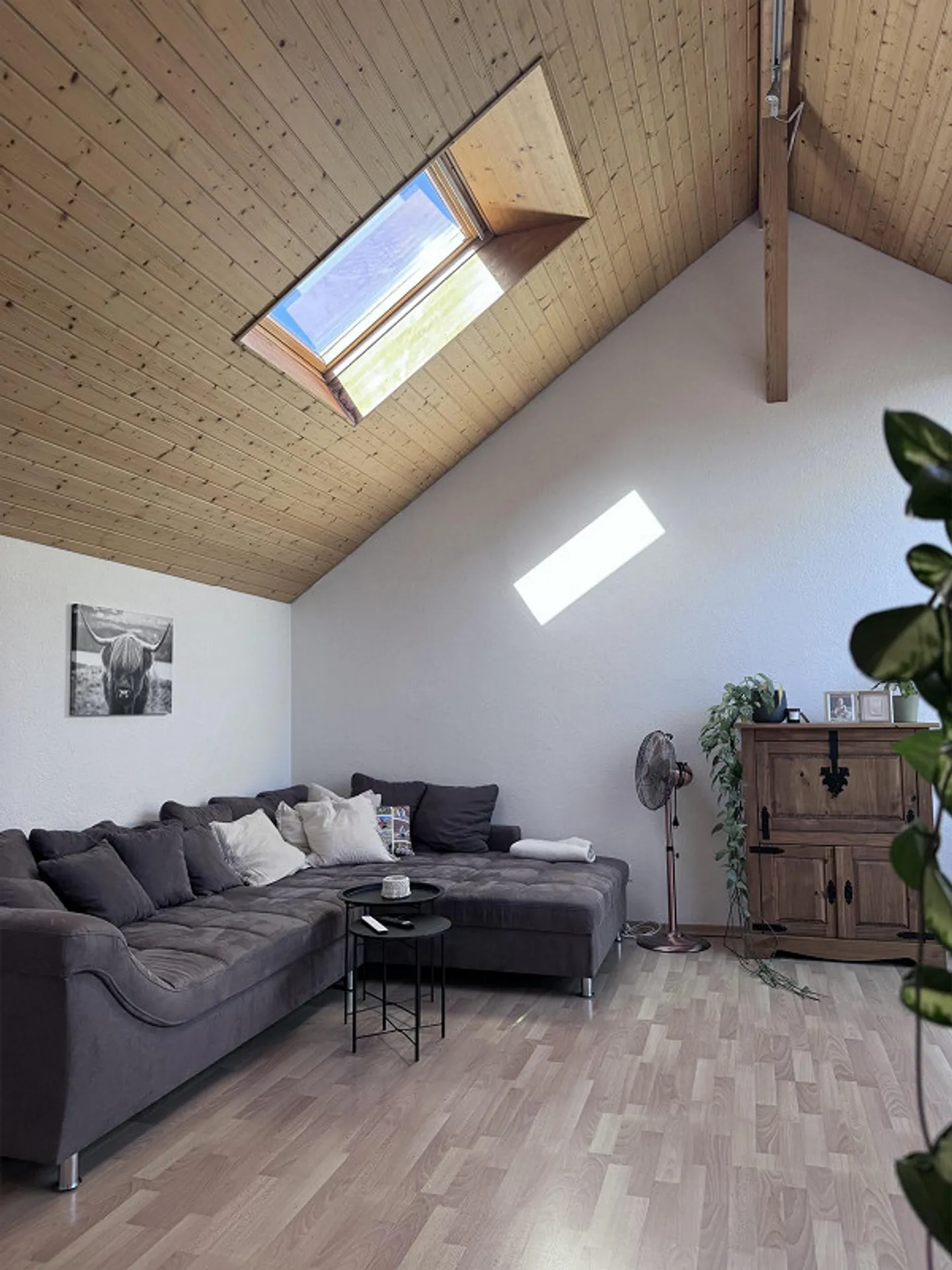 Appartamento 2.5 locali - Foto 1 di 11