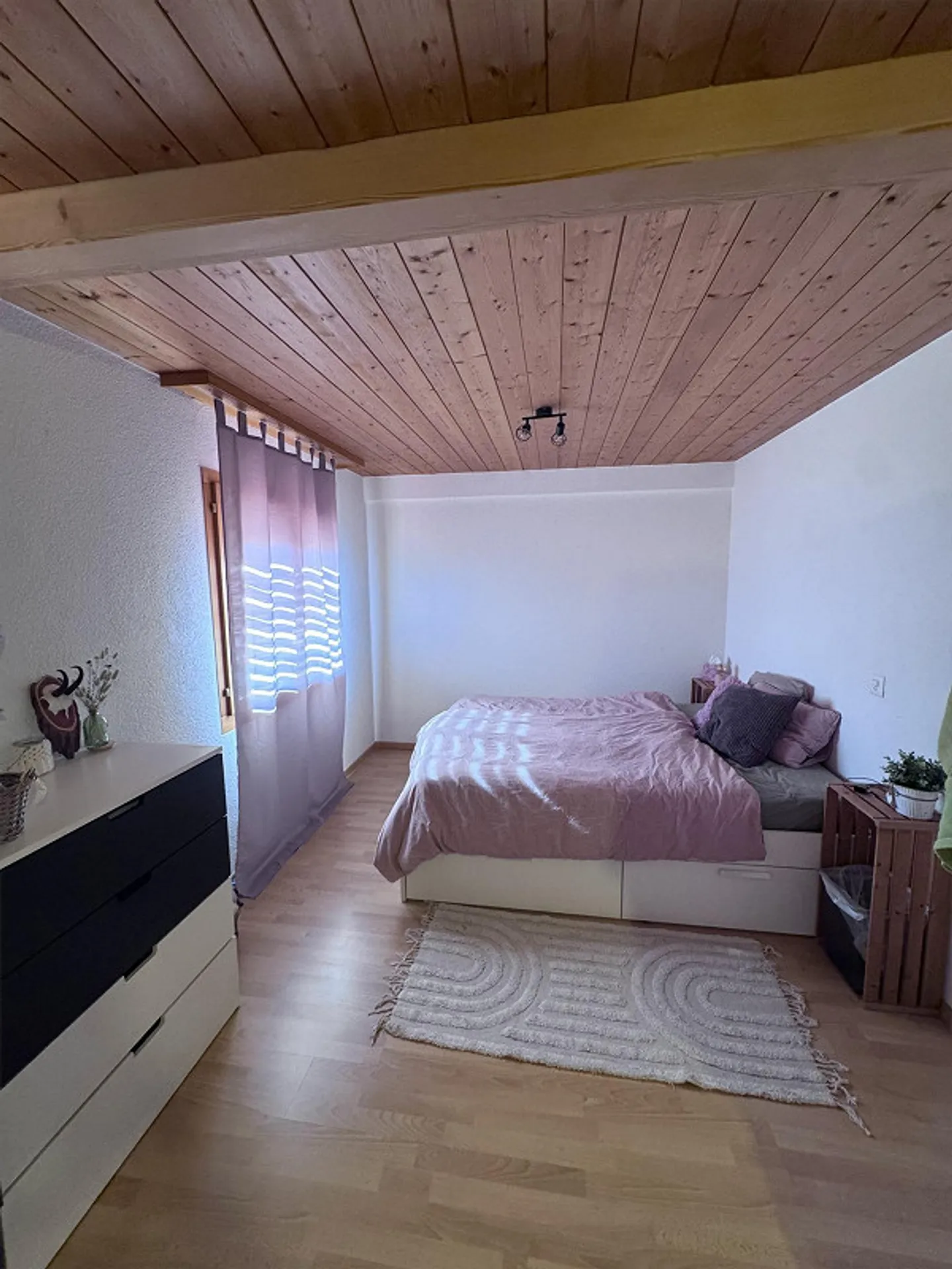 Appartamento 2.5 locali - Foto 4 di 11