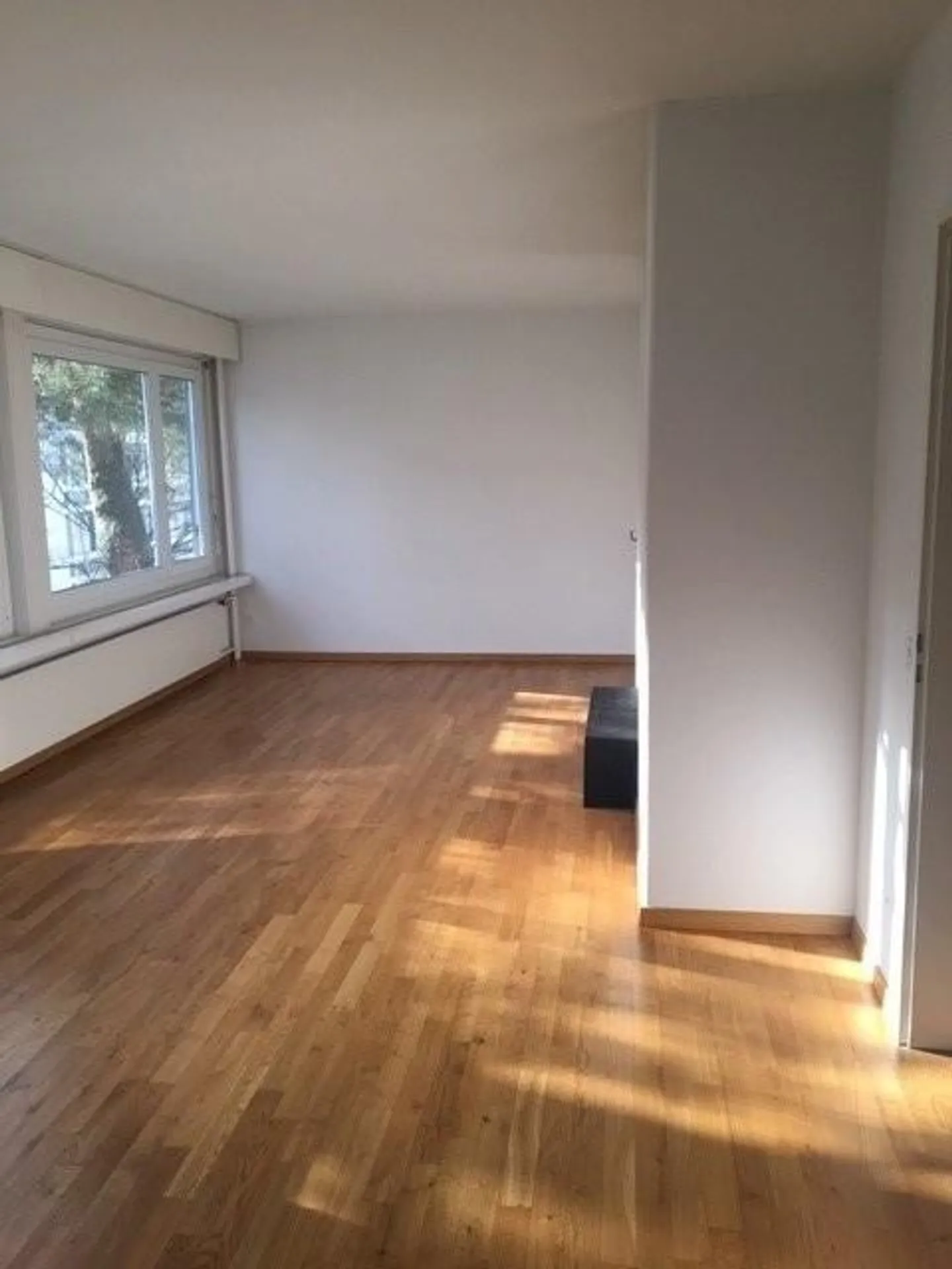 Vie presque naturelle près de la ville - Photo 2 sur 7