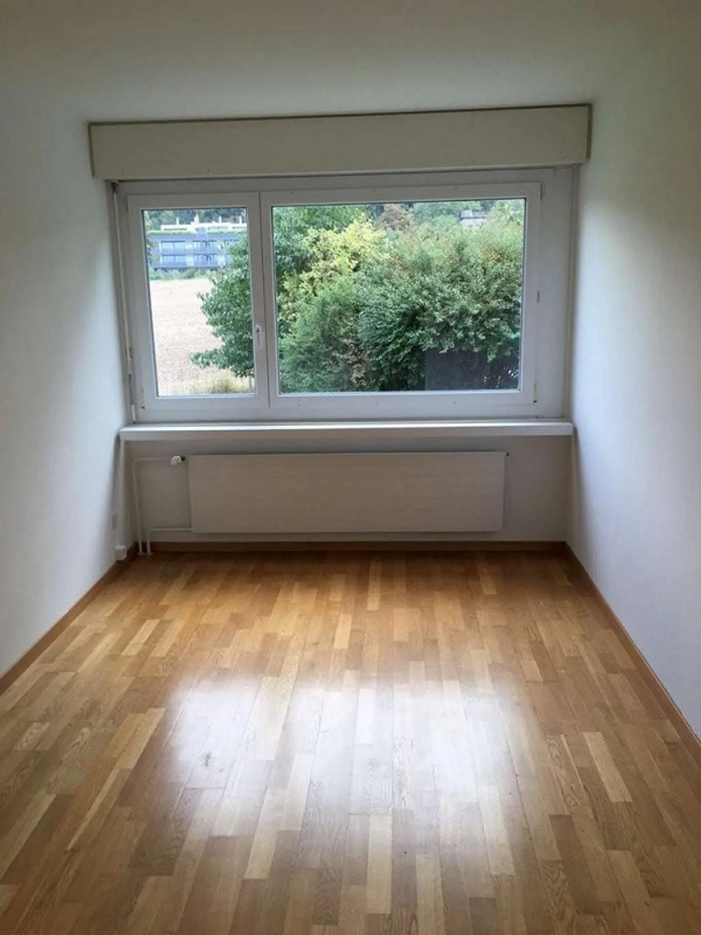 Vie presque naturelle près de la ville - Photo 4 sur 7