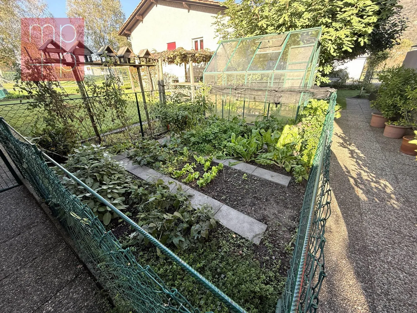 Single-family house - Giubiasco - Photo 3 of 8
