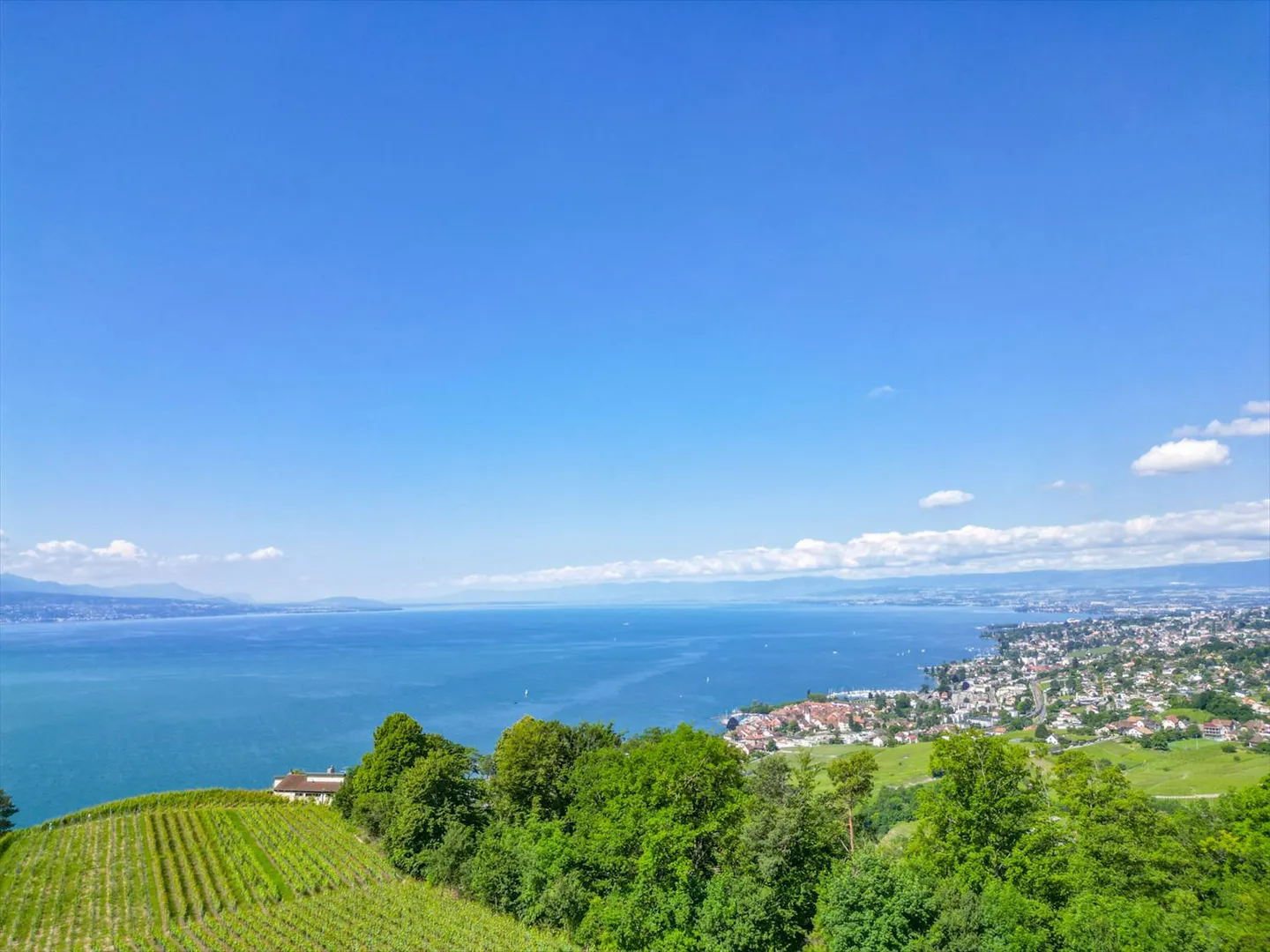 LUTRY - UNIQUE ! SOMPTUEUSE VILLA  AU COEUR DES VIGNES - Photo 3 sur 13