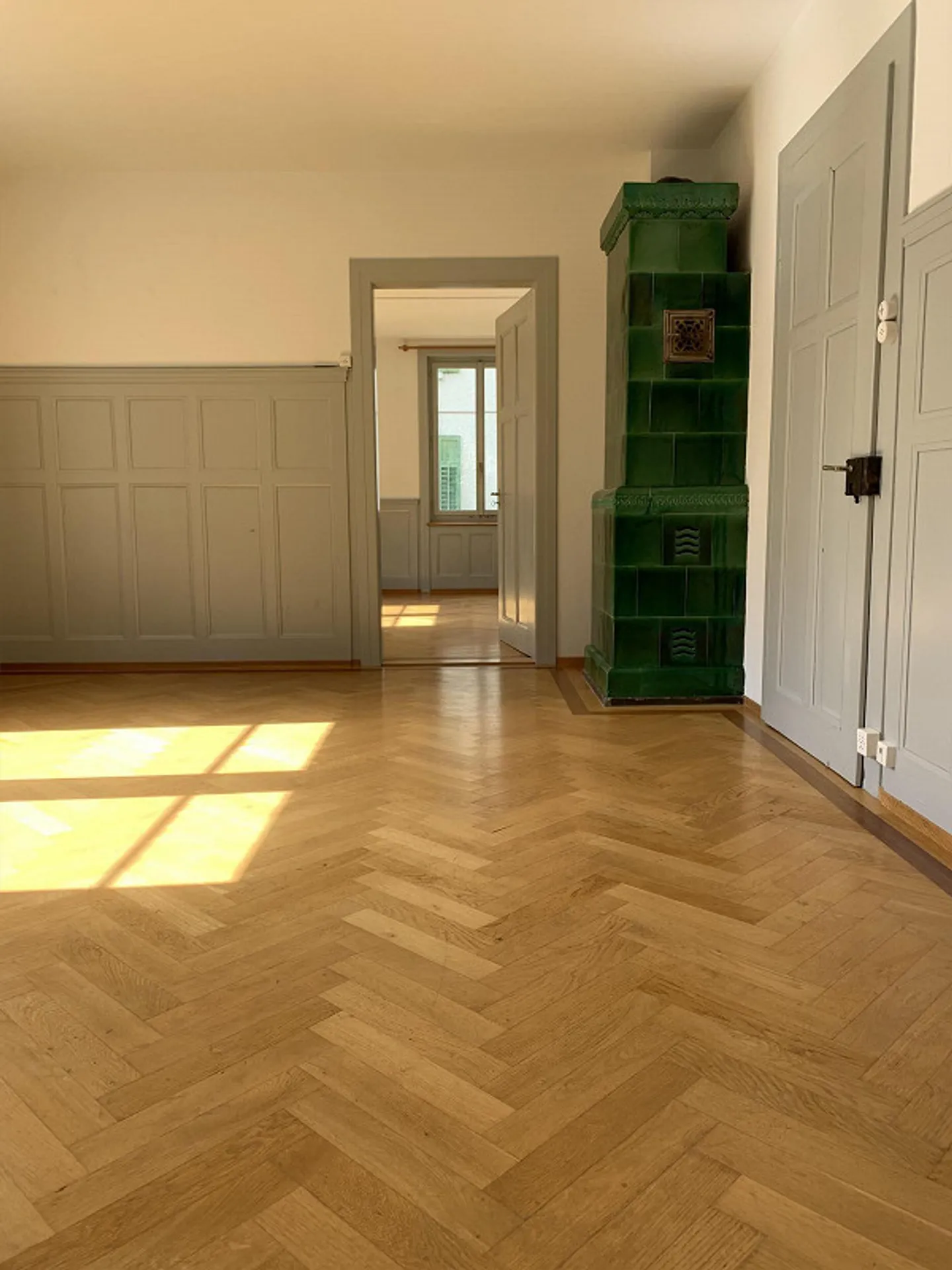 Bright apartment with garden in the city of Schaffhausen - Photo 1 of 10