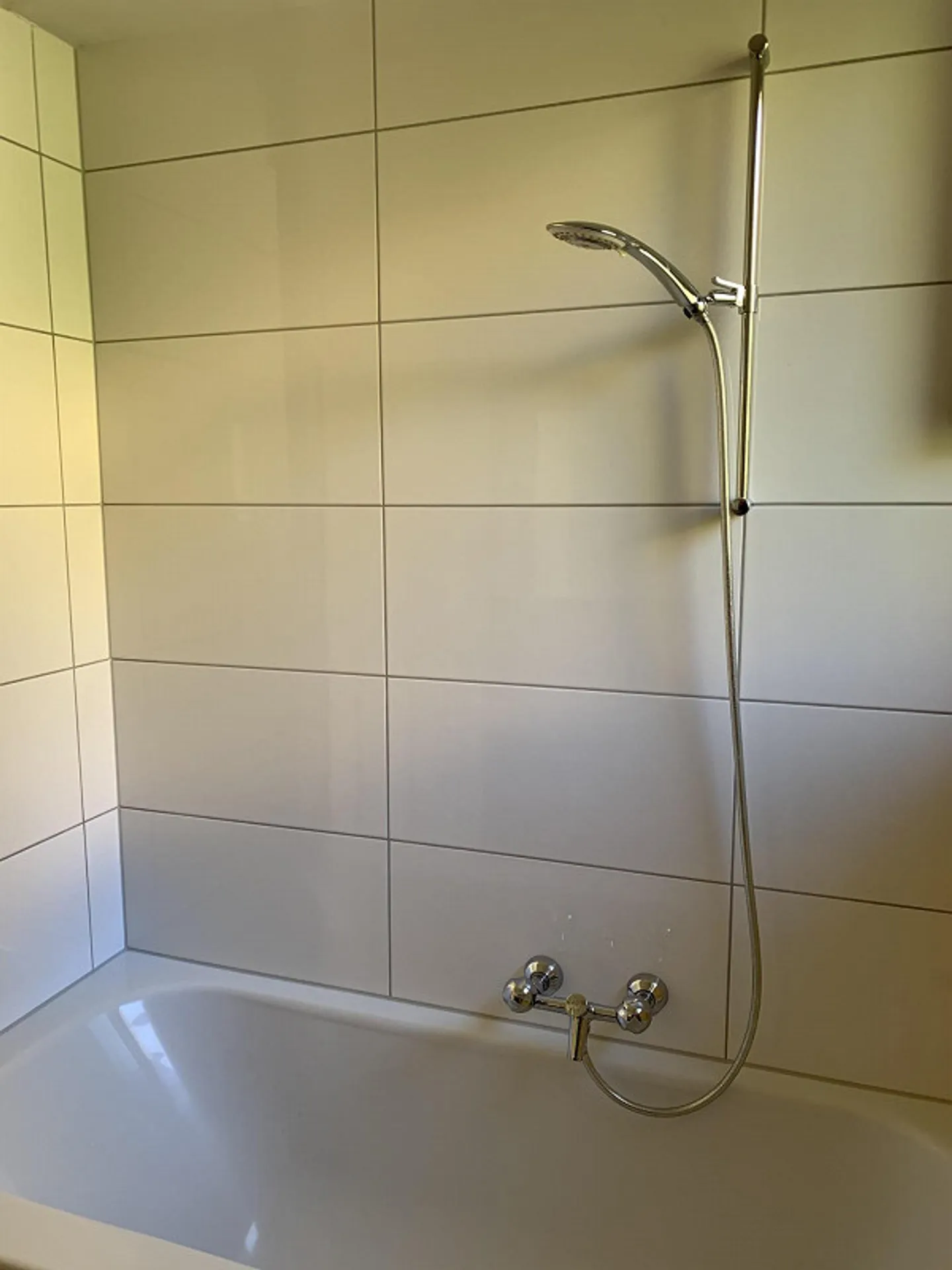 Bright apartment with garden in the city of Schaffhausen - Photo 5 of 10