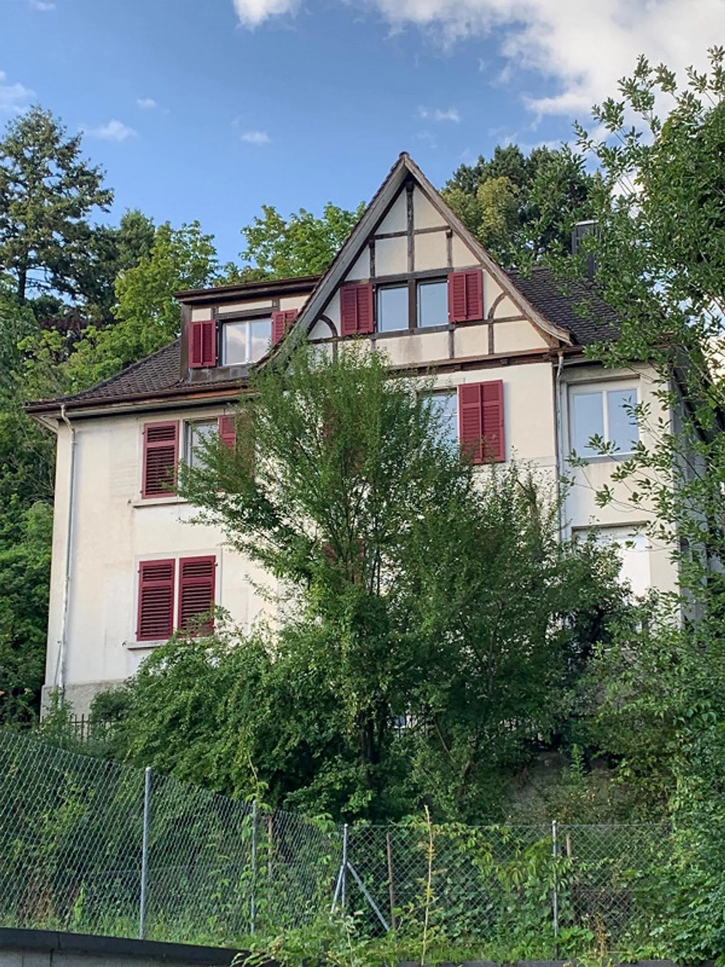 Bright apartment with garden in the city of Schaffhausen - Photo 8 of 10