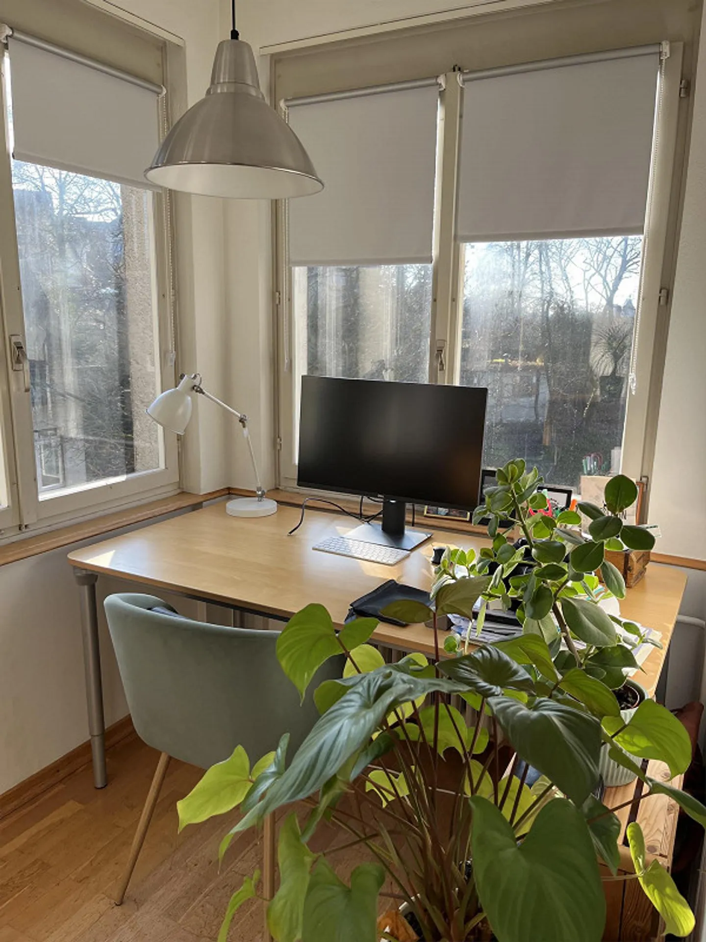 Bright apartment with garden in the city of Schaffhausen - Photo 9 of 10