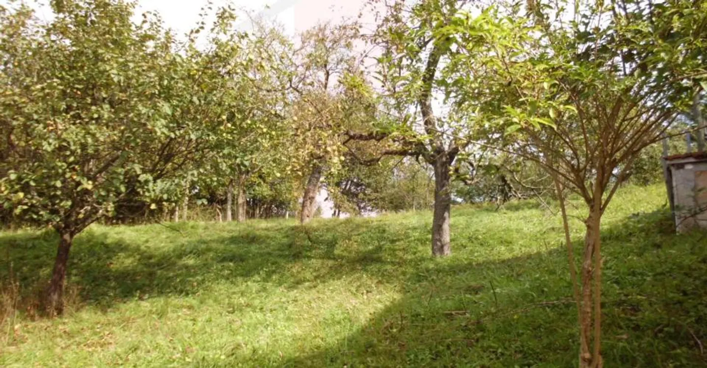 Terreno edificabile in un luogo tranquillo e aperto - Foto 6 di 9