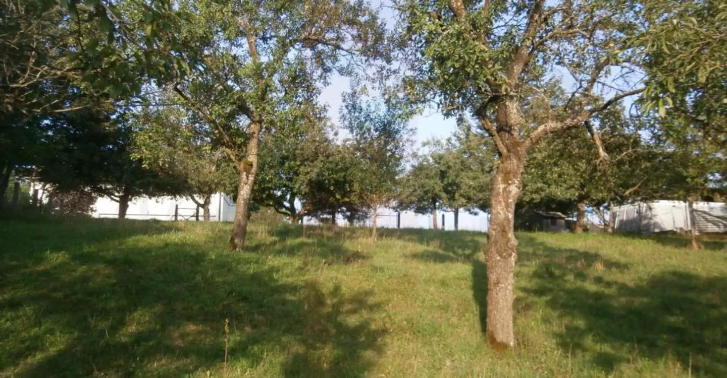 Terreno edificabile in un luogo tranquillo e aperto - Foto 1 di 9