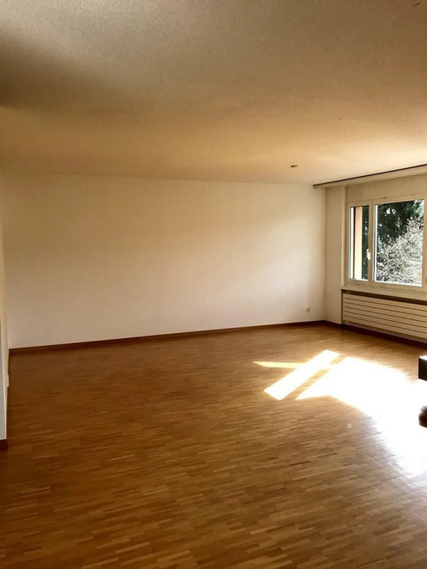Living in the Green - with Fireplace and Balcony in Altstetten - TEMPORARY - Photo 3 of 8