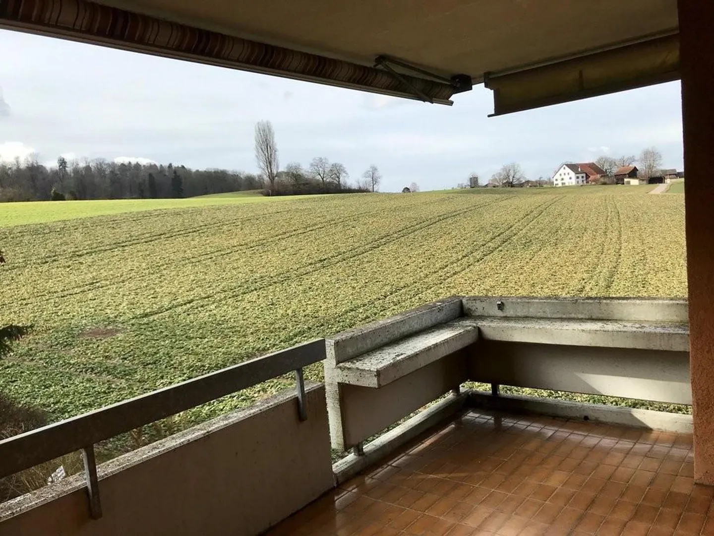 Living in the Green - with Fireplace and Balcony in Altstetten - TEMPORARY - Photo 7 of 8