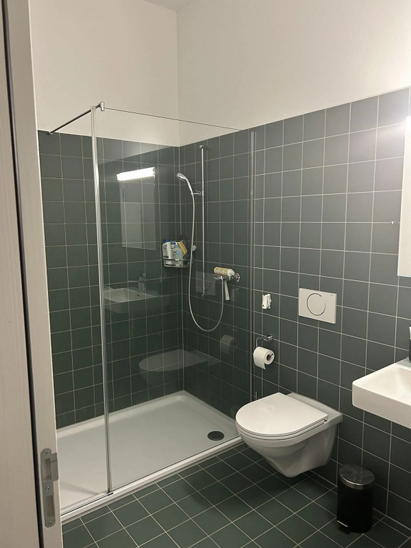 Appartement spacieux de 3,5 pièces avec salle polyvalente supplémentaire (140 m²) - Photo 8 sur 8