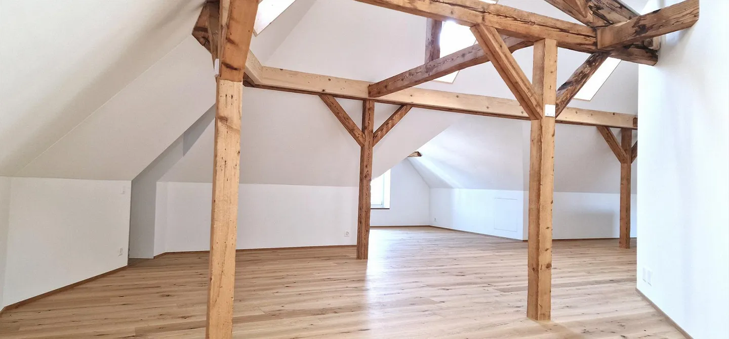 Exklusive Loftwohnung in zentraler Lage - Foto 4 von 12