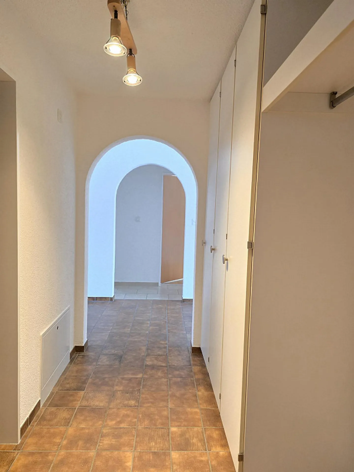 Calme - près du lac de Constance - Photo 2 sur 13