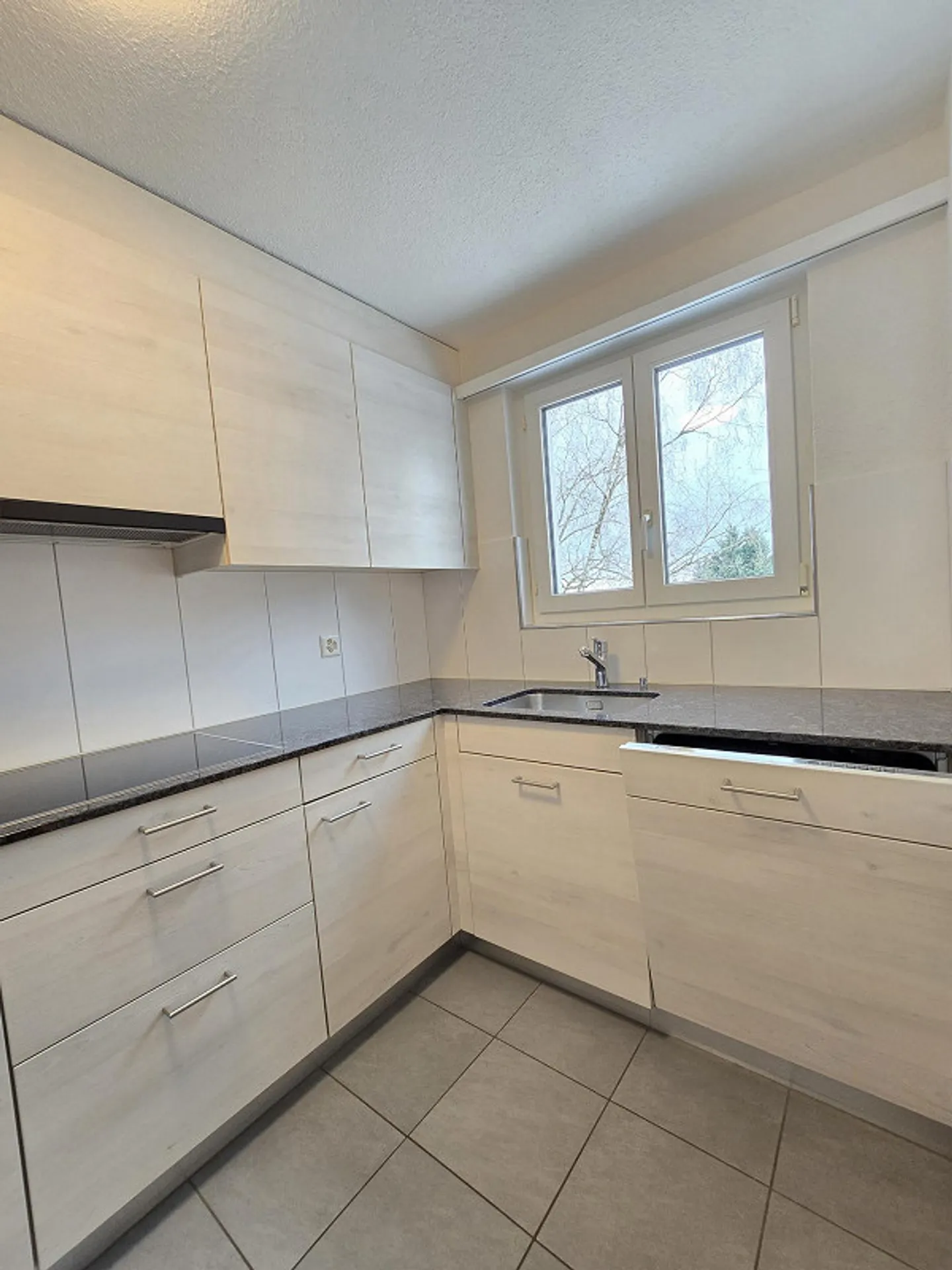 Calme - près du lac de Constance - Photo 4 sur 13