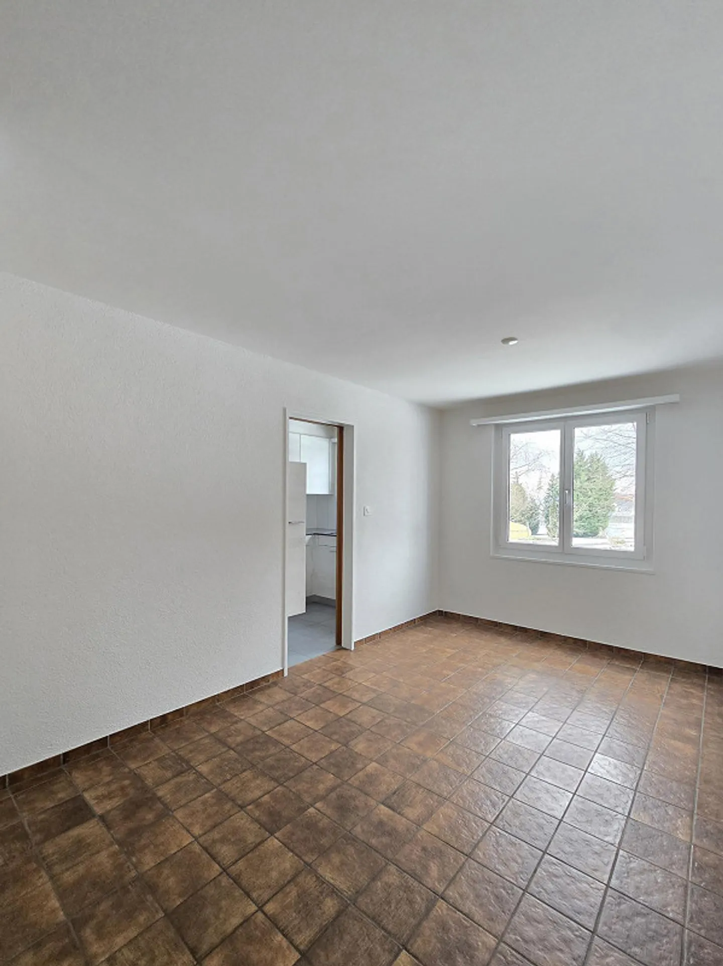 Calme - près du lac de Constance - Photo 5 sur 13