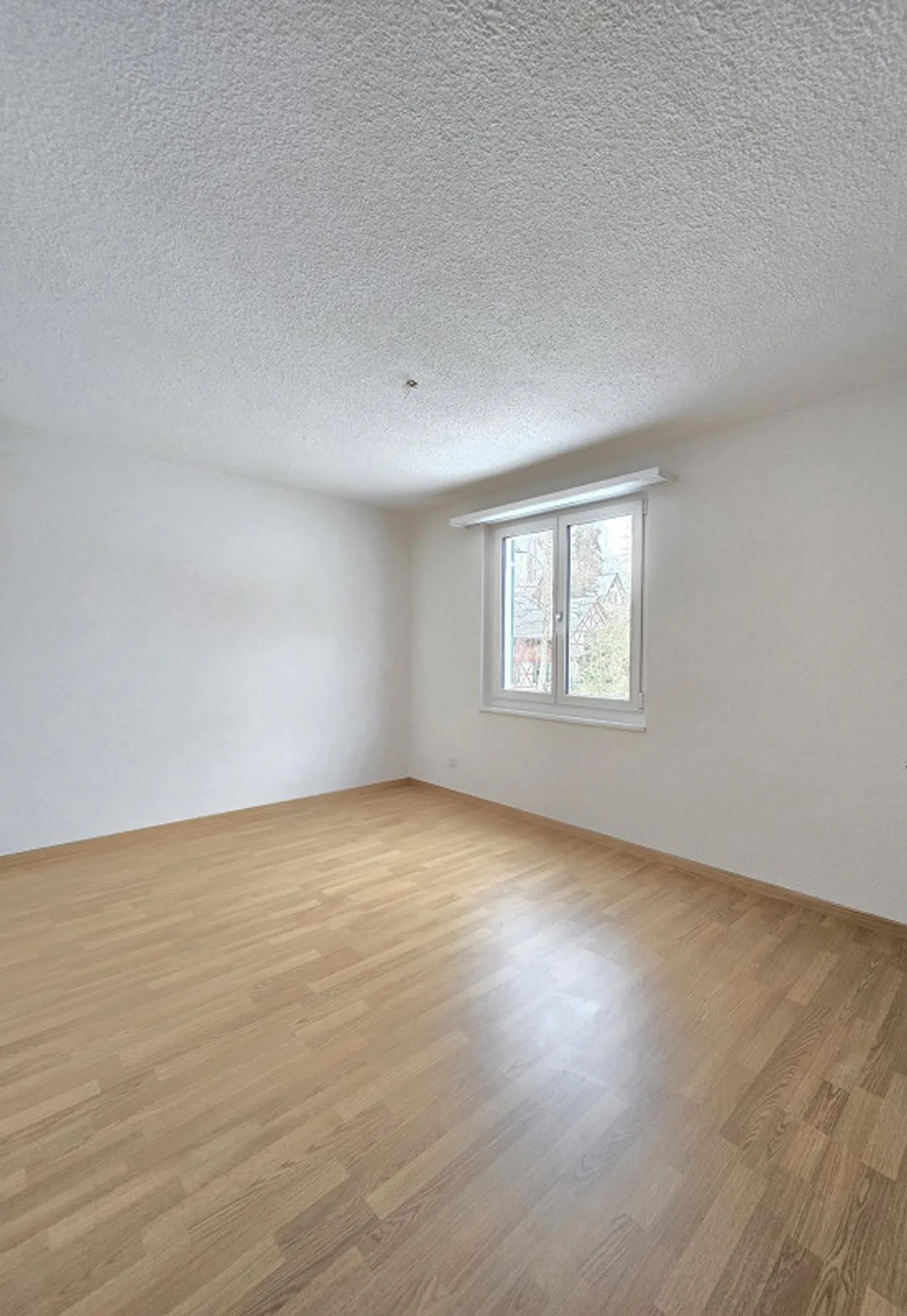 Calme - près du lac de Constance - Photo 8 sur 13