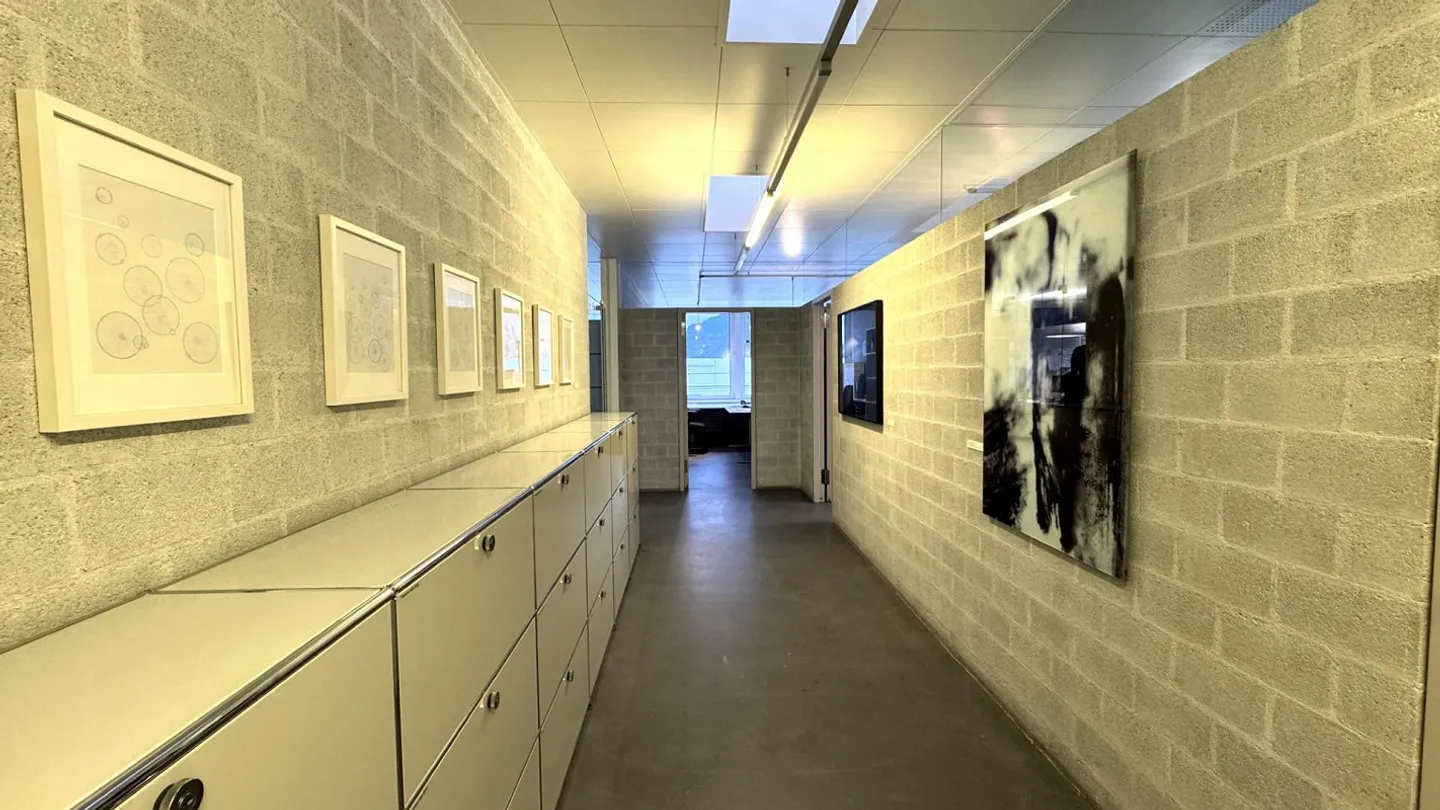 Bureau ou locaux de pratique modernes et partiellement meublés à Chur - Photo 8 sur 10