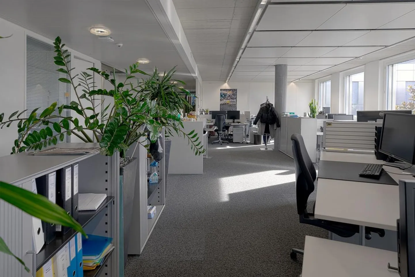 Helle Büroräumlichkeiten mit flexibler Raumaufteilung - Foto 4 von 10