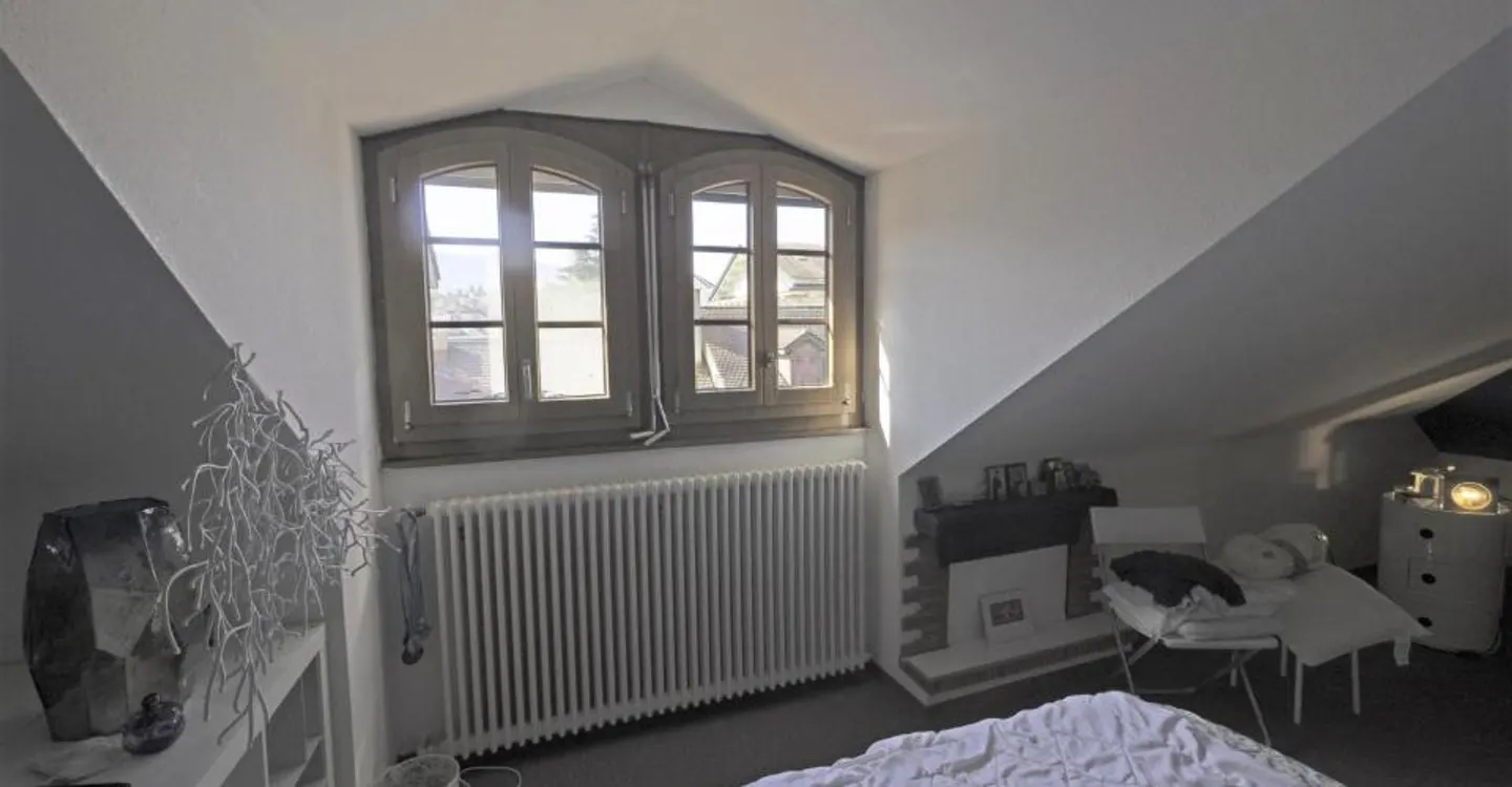 In the heart of Old Carouge, 67 m2 PPE apartment under the roofs - Photo 2 of 4