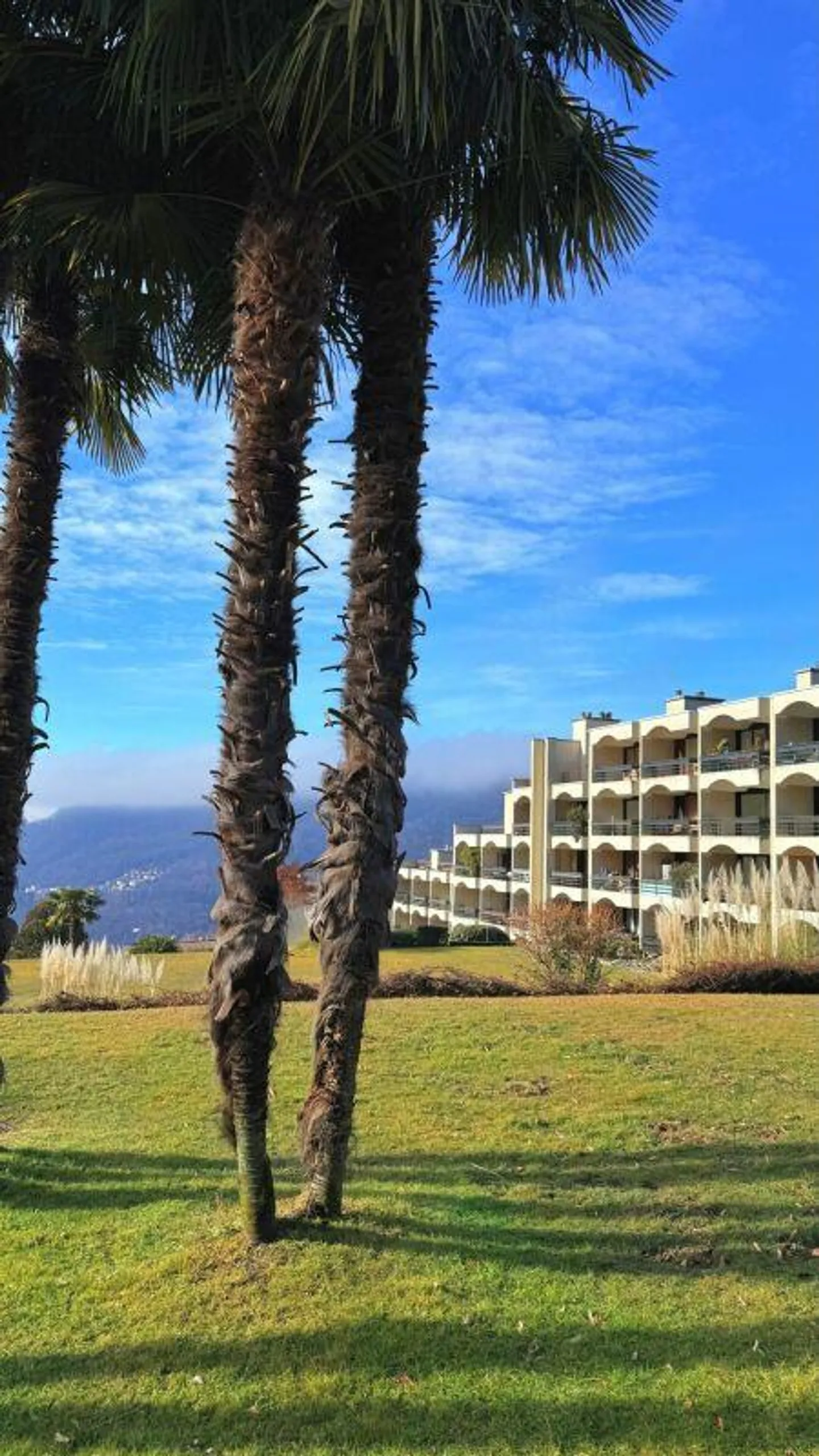 Cadro - wunderbare 3.5 Zimmer mit offenem Blick über die Stadt Lugano - Foto 2 von 14