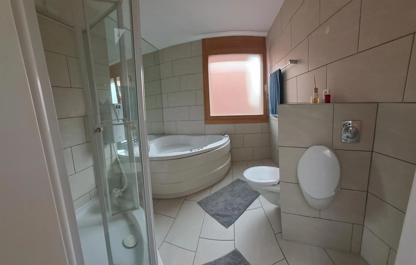 House with Atrium Garden in Chur-Masans - Photo 5 of 7