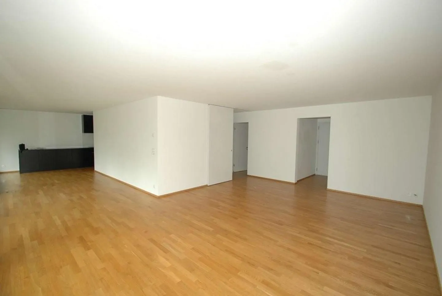 Appartement spacieux avec vue sur les Alpes suisses ! - Photo 2 sur 8