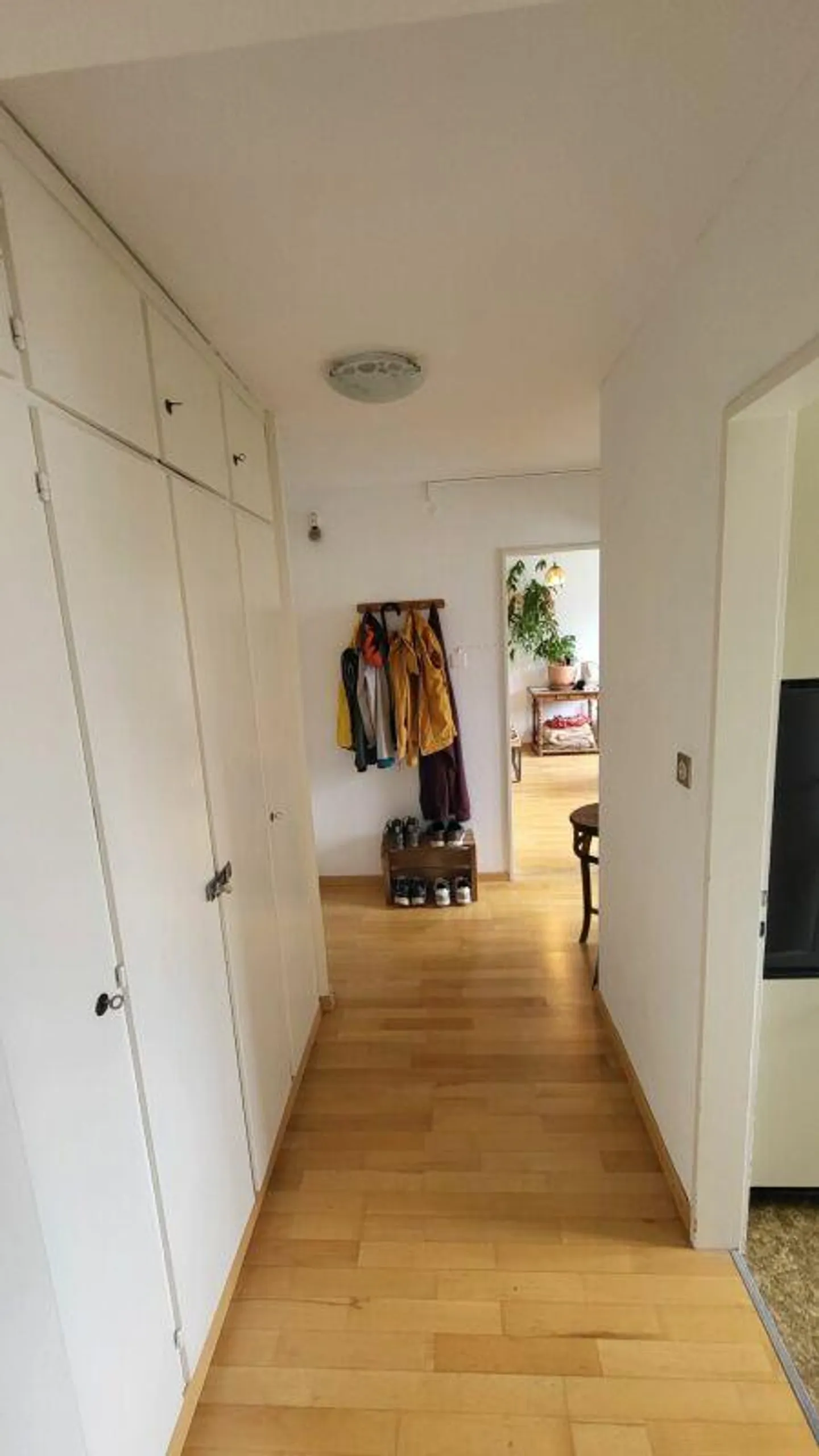 Zentrale 2-Zimmerwohnung in der Luzerner Neustadt! - Foto 2 von 6
