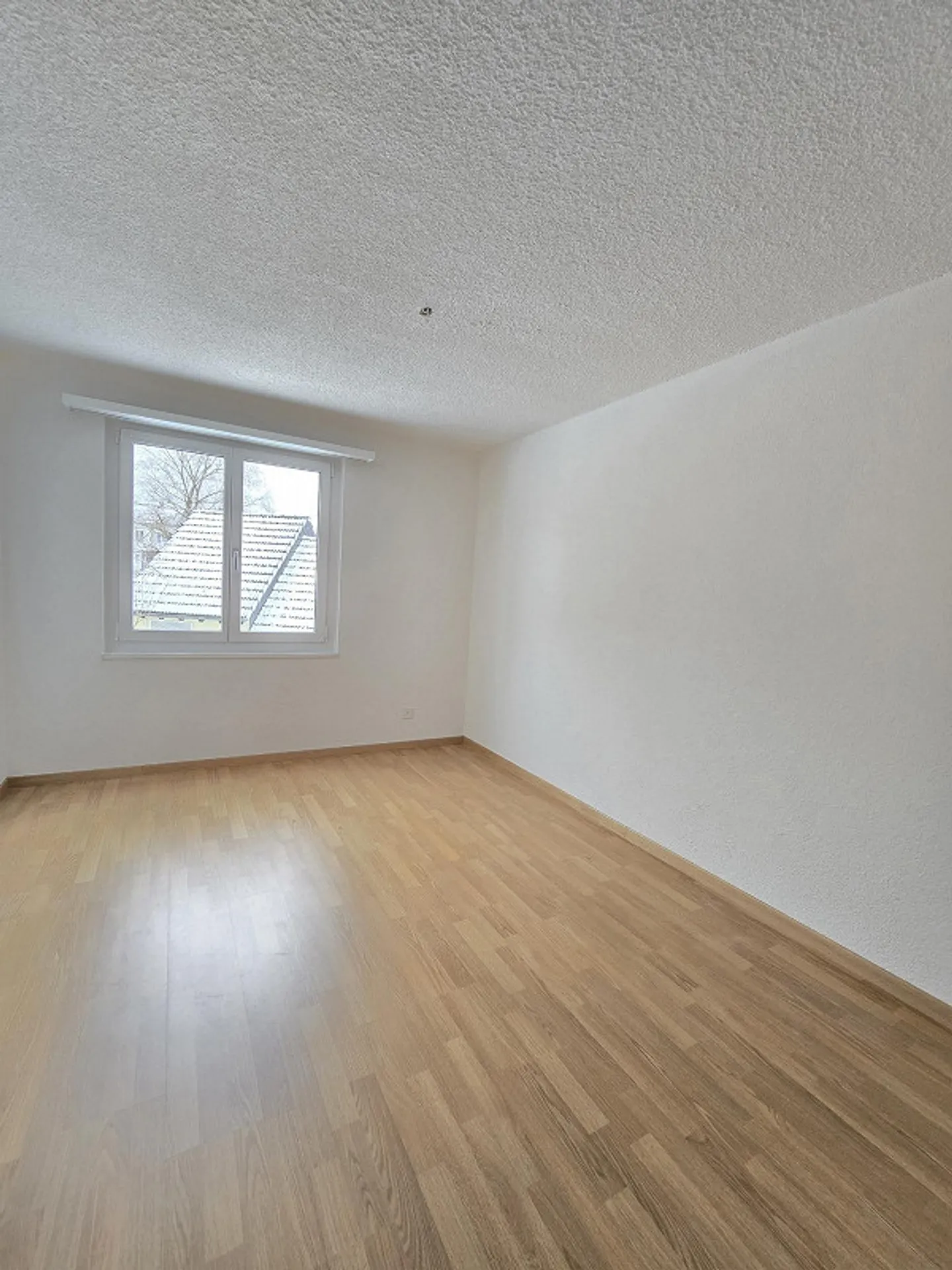 Calme - près du lac de Constance - Photo 9 sur 13