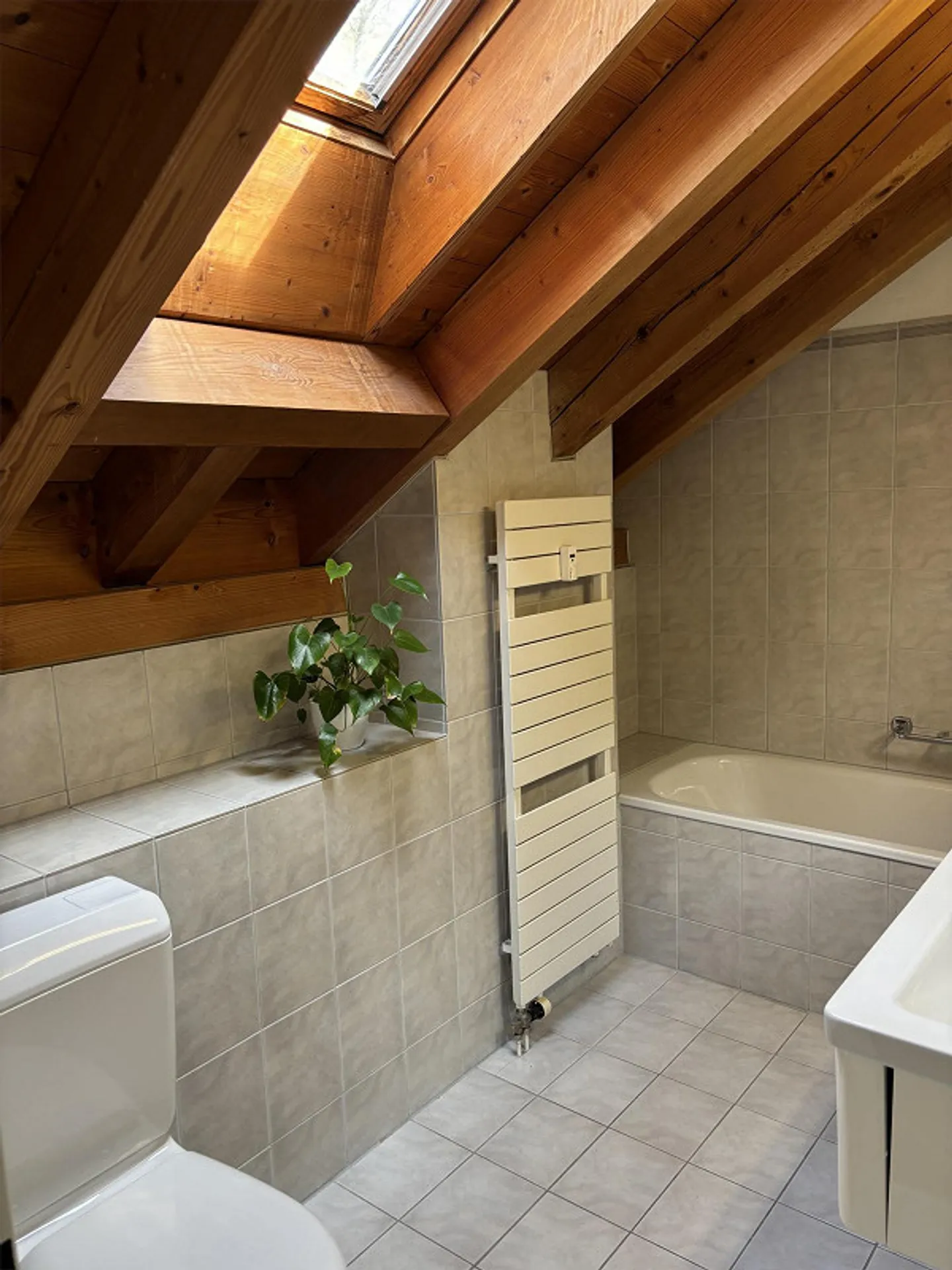 Charming 3.5-room attic apartment with attic expansion and mountain view in Tamin - Photo 10 of 15