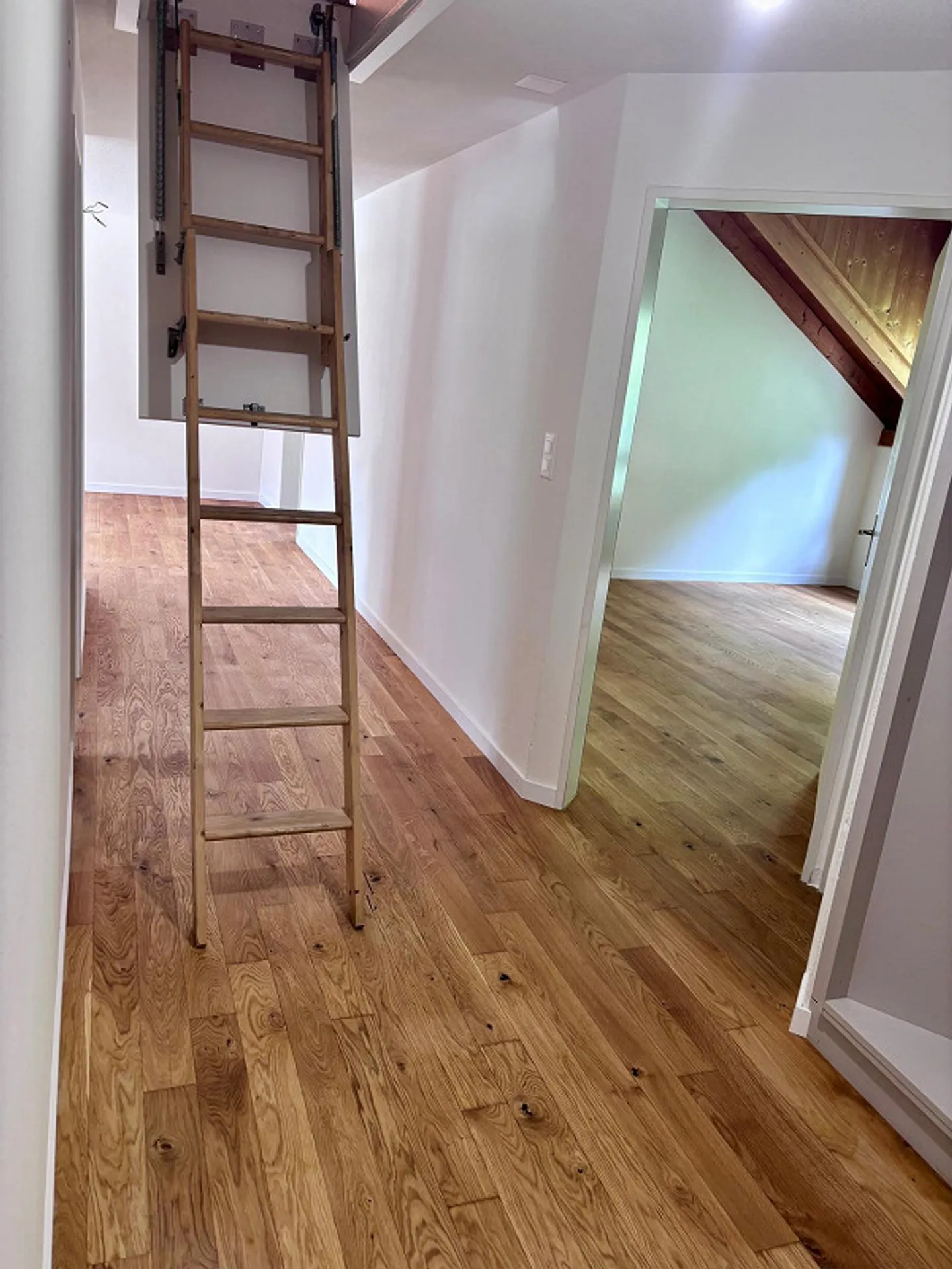 Charming 3.5-room attic apartment with attic expansion and mountain view in Tamin - Photo 15 of 15