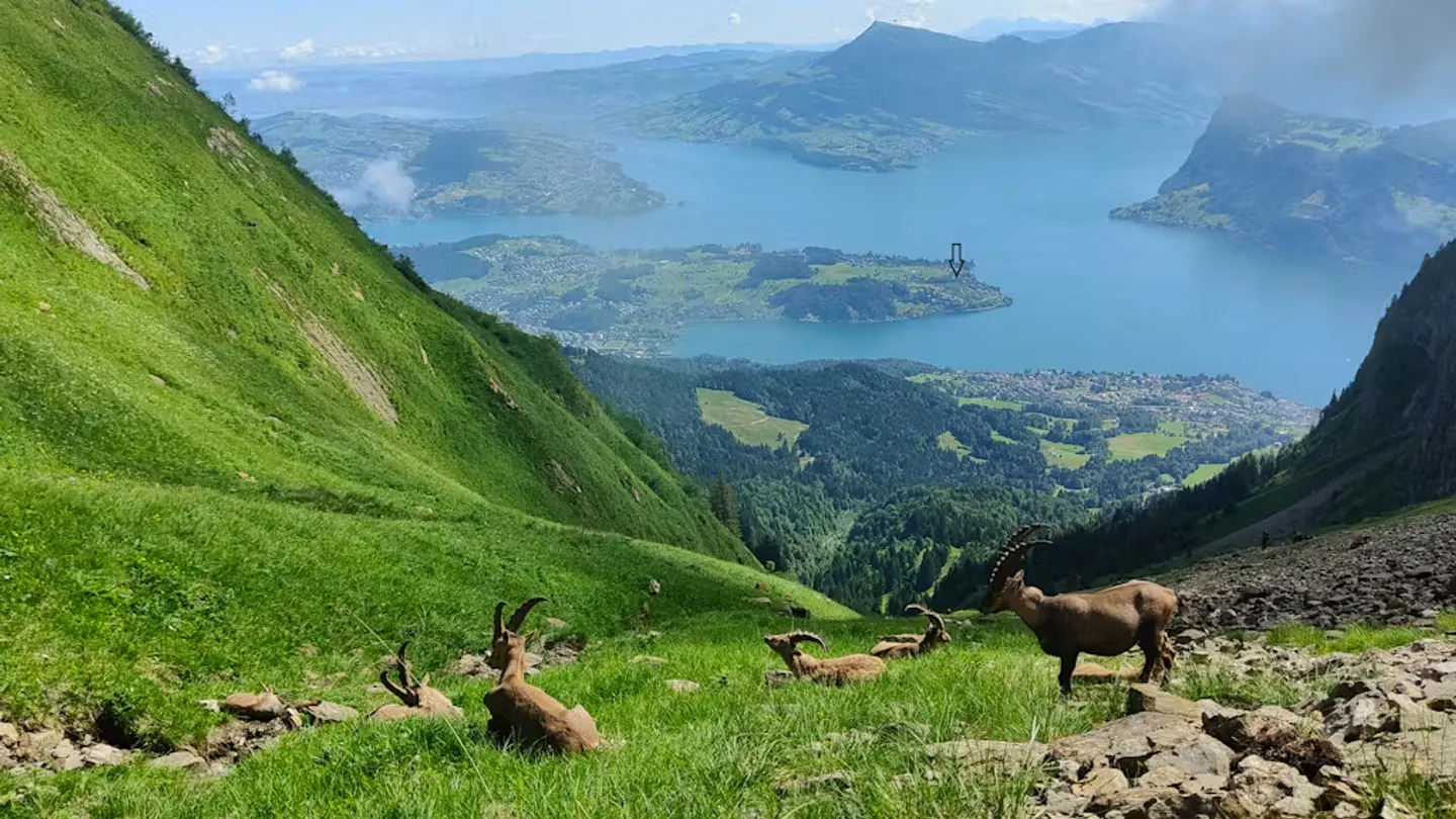 Charming Swiss Chalet - Photo 10 of 10