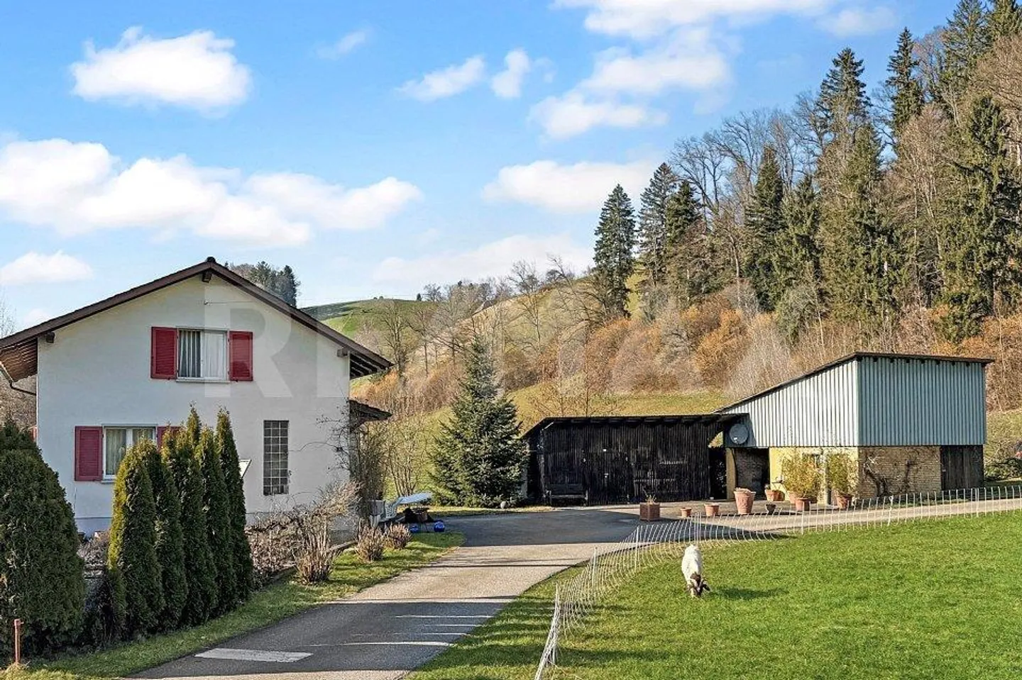Casa di guardia accogliente con laboratorio, sorgente d'acqua propria, legno... - Foto 1 di 11