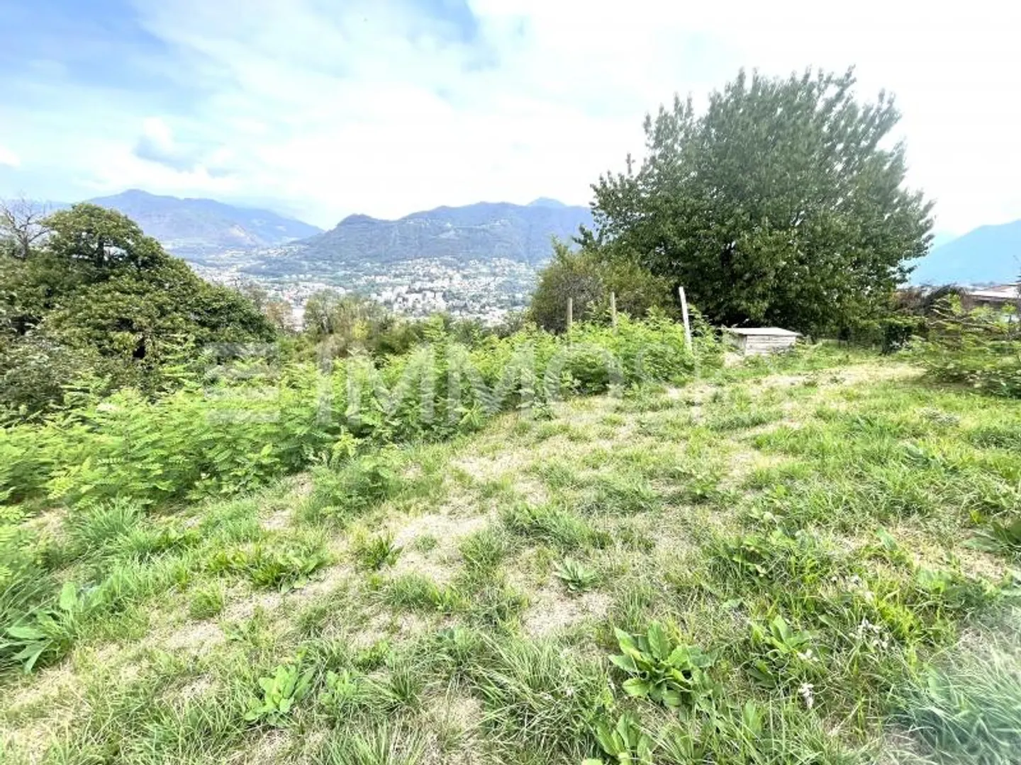 Terrain ensoleillé à Chiasso - Photo 1 sur 5