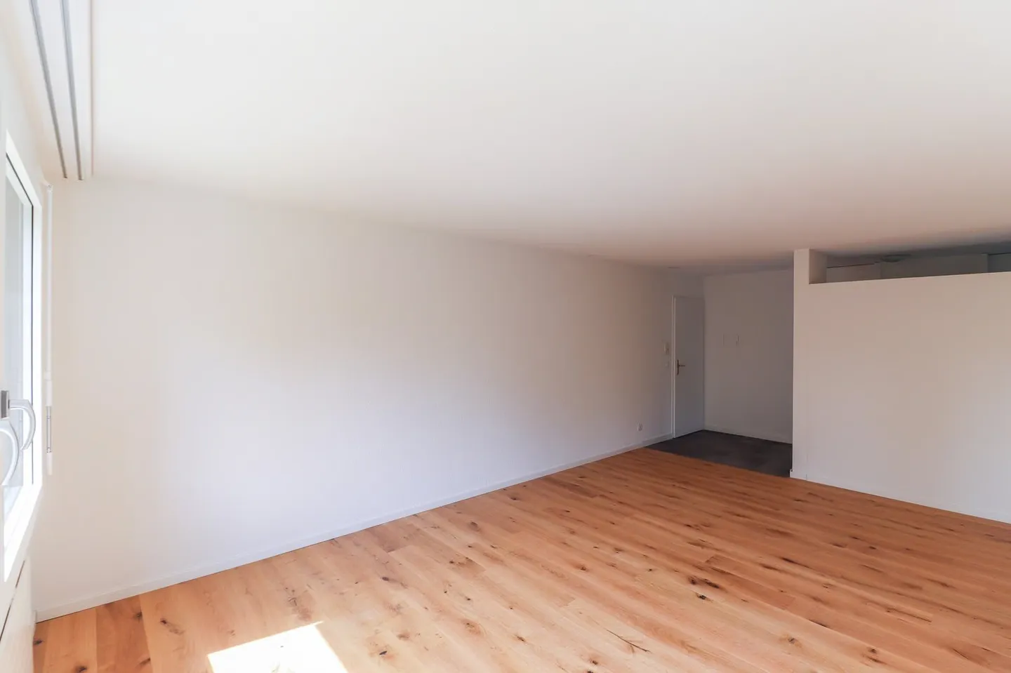Freshly renovated 4.5-room apartment with parking space, workshop, and cellar compartment - Photo 5 of 21