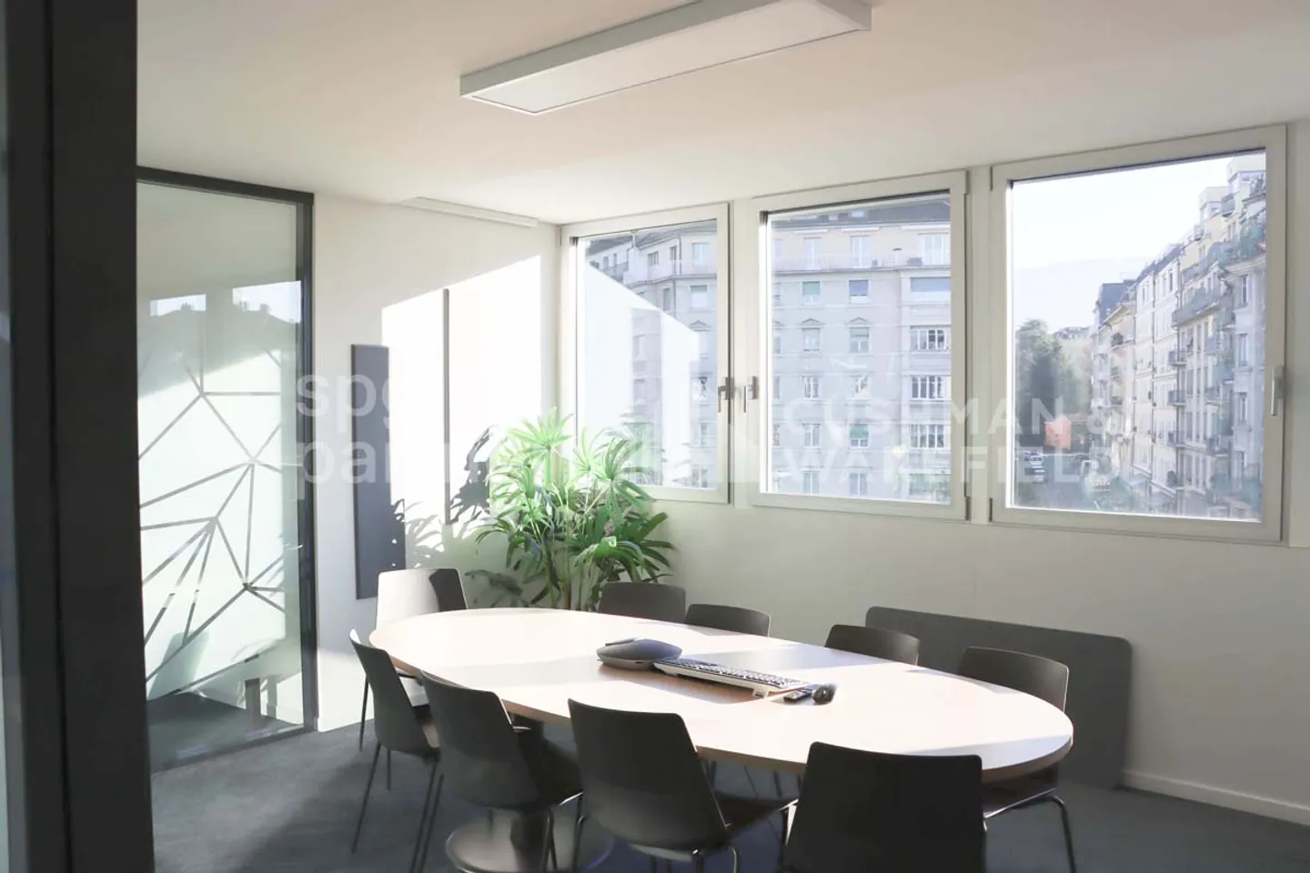 Ferdinand-Hodler 23 - Foto 1 von 8